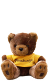 Pittsburgh Teddy Bear