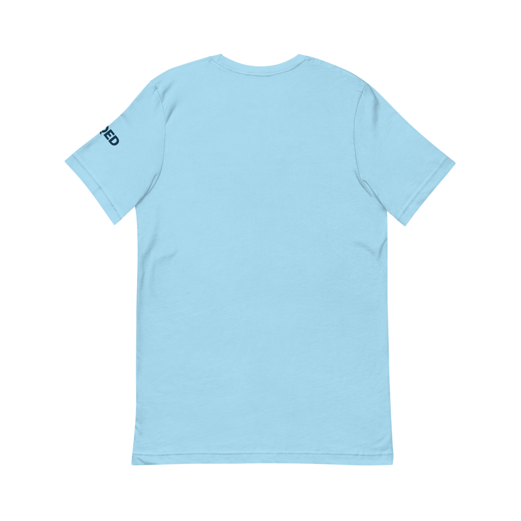 Summer of Sebak  T-Shirt - back
